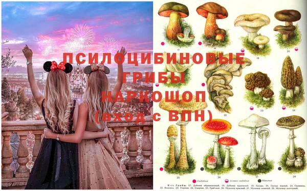 СК Абинск