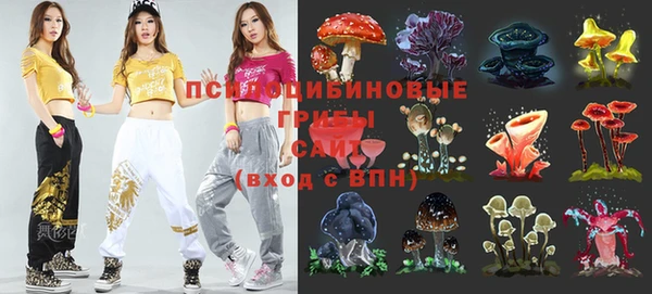 прущая мука Абаза